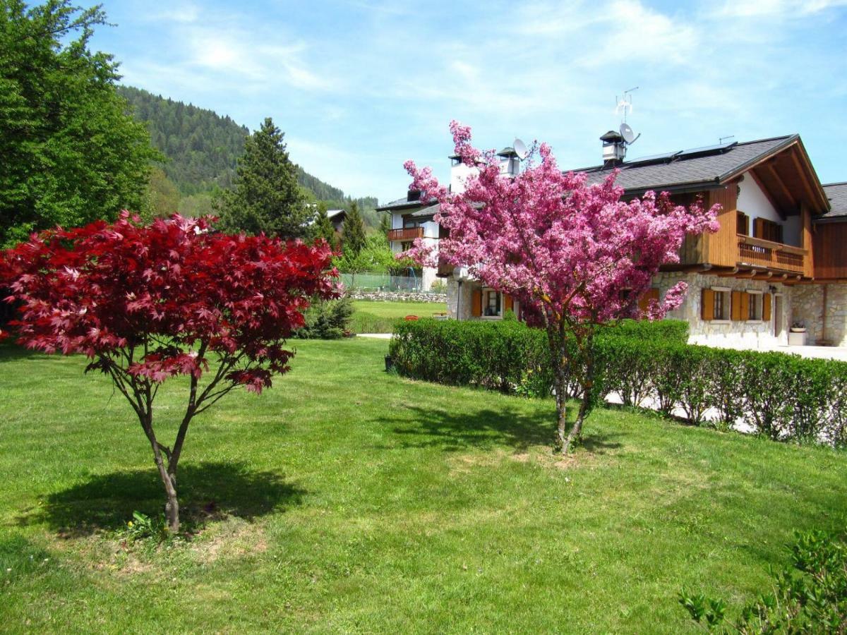 Ca'Milla B&B Nelle Dolomiti П'єве-ді-Кадоре Екстер'єр фото